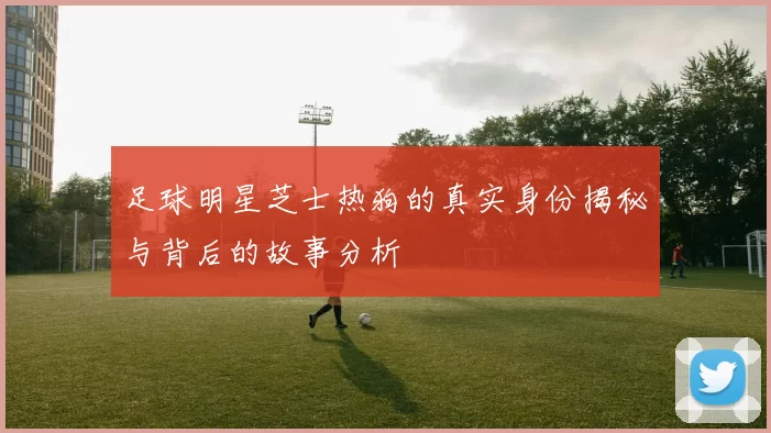 足球明星芝士热狗的真实身份揭秘与背后的故事分析
