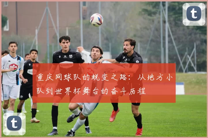 重庆网球队的蜕变之路：从地方小队到世界杯舞台的奋斗历程
