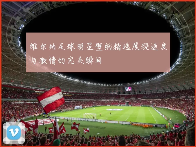维尔纳足球明星壁纸精选展现速度与激情的完美瞬间