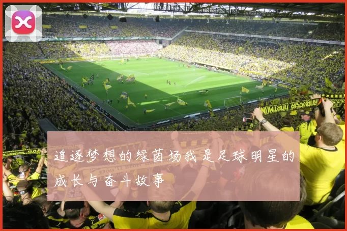 追逐梦想的绿茵场我是足球明星的成长与奋斗故事
