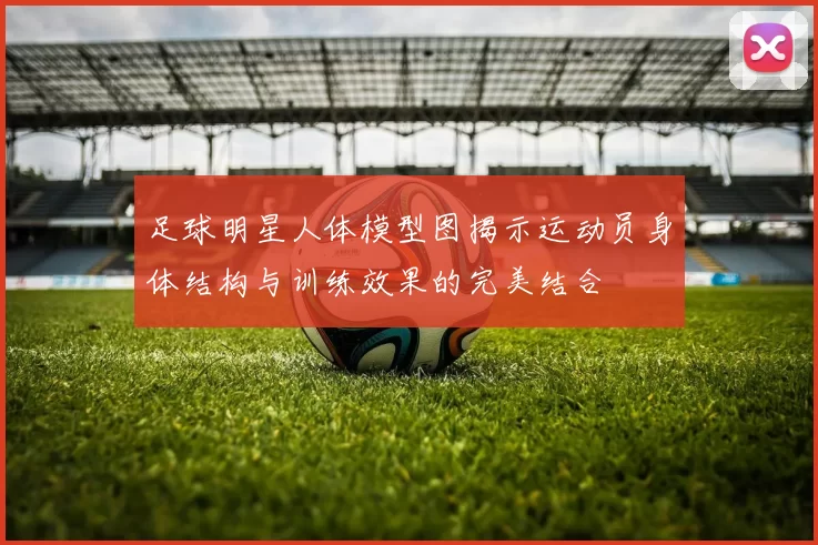 足球明星人体模型图揭示运动员身体结构与训练效果的完美结合