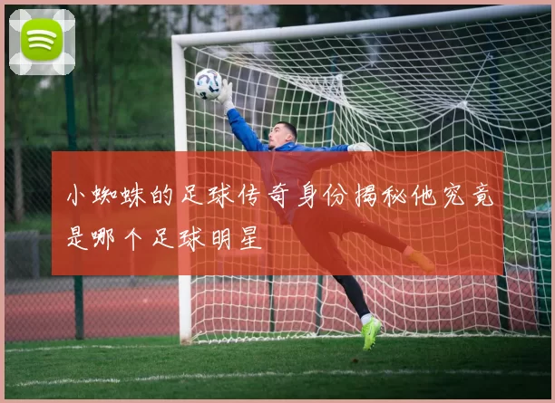 小蜘蛛的足球传奇身份揭秘他究竟是哪个足球明星