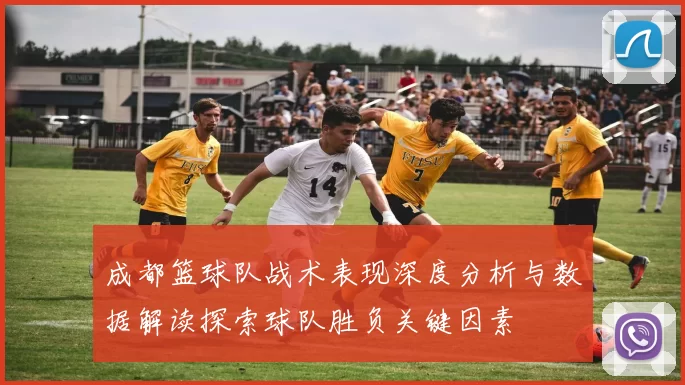 成都篮球队战术表现深度分析与数据解读探索球队胜负关键因素