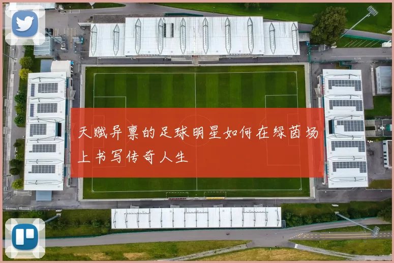 天赋异禀的足球明星如何在绿茵场上书写传奇人生