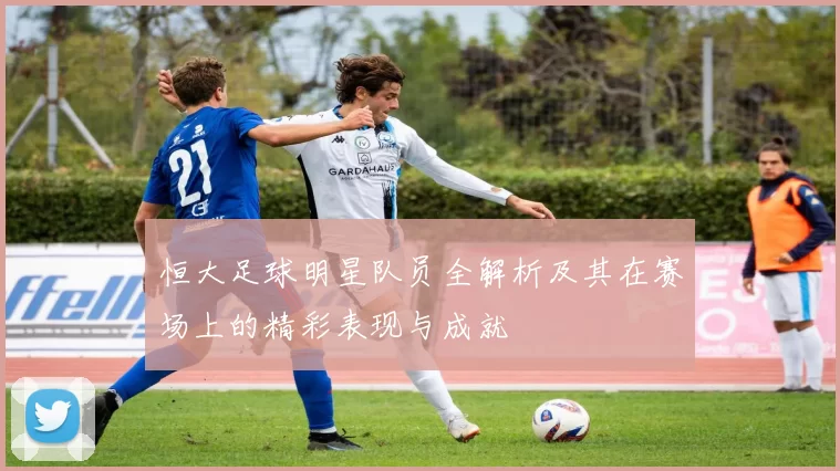恒大足球明星队员全解析及其在赛场上的精彩表现与成就