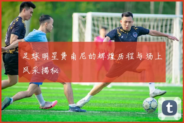 足球明星费南尼的辉煌历程与场上风采揭秘