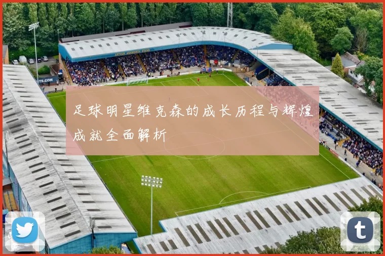 足球明星维克森的成长历程与辉煌成就全面解析
