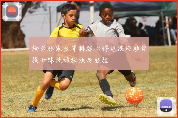 杨芳独家分享排球心得与技巧助你提升球技的秘诀与经验