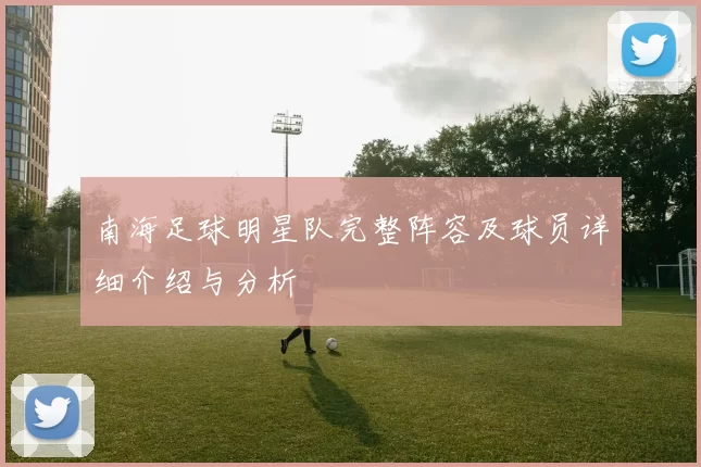 南海足球明星队完整阵容及球员详细介绍与分析