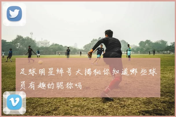 足球明星绰号大揭秘你知道哪些球员有趣的昵称吗