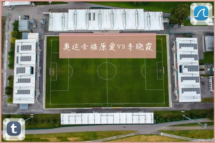 奥运会福原爱vs李晓霞