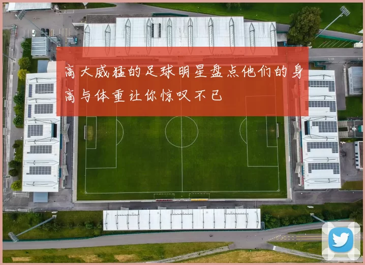 高大威猛的足球明星盘点他们的身高与体重让你惊叹不已