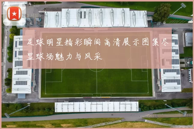 足球明星精彩瞬间高清展示图集尽显球场魅力与风采