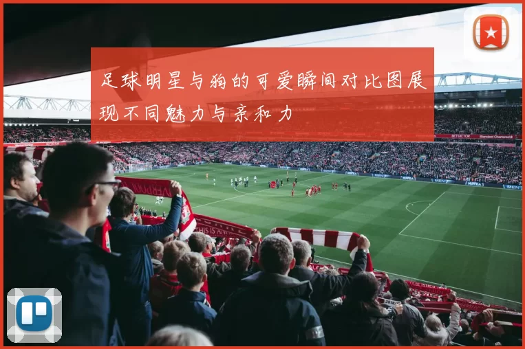足球明星与狗的可爱瞬间对比图展现不同魅力与亲和力