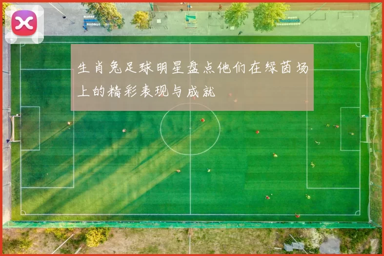 生肖兔足球明星盘点他们在绿茵场上的精彩表现与成就