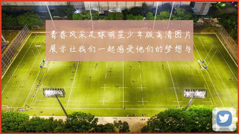 青春风采足球明星少年版高清图片展示让我们一起感受他们的梦想与激情