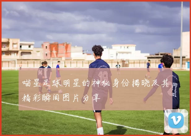 喵星足球明星的神秘身份揭晓及其精彩瞬间图片分享