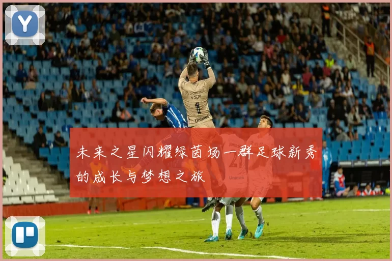 未来之星闪耀绿茵场一群足球新秀的成长与梦想之旅